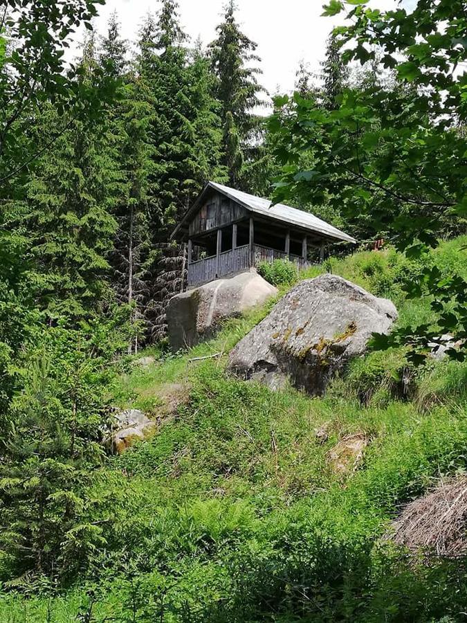 Complex Pele Hotel Zmeitsa Exterior foto